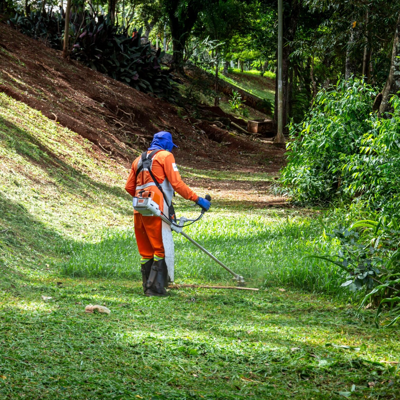 pexels-gaion-20534859